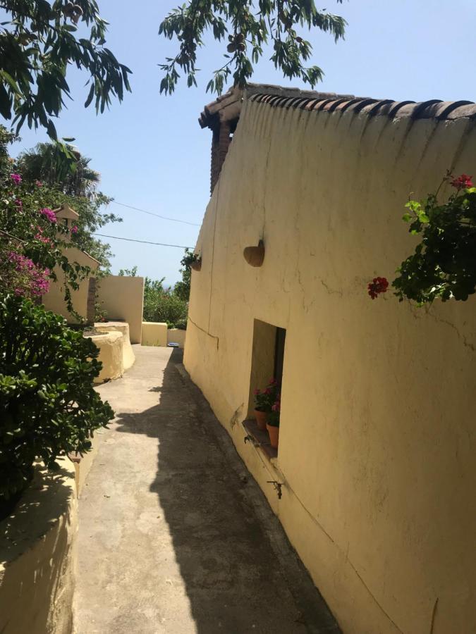 Casa Hector Villa Granada Exteriör bild